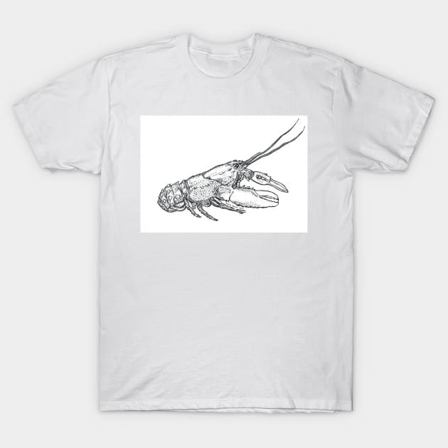 Crayfish T-Shirt by NutsnGum